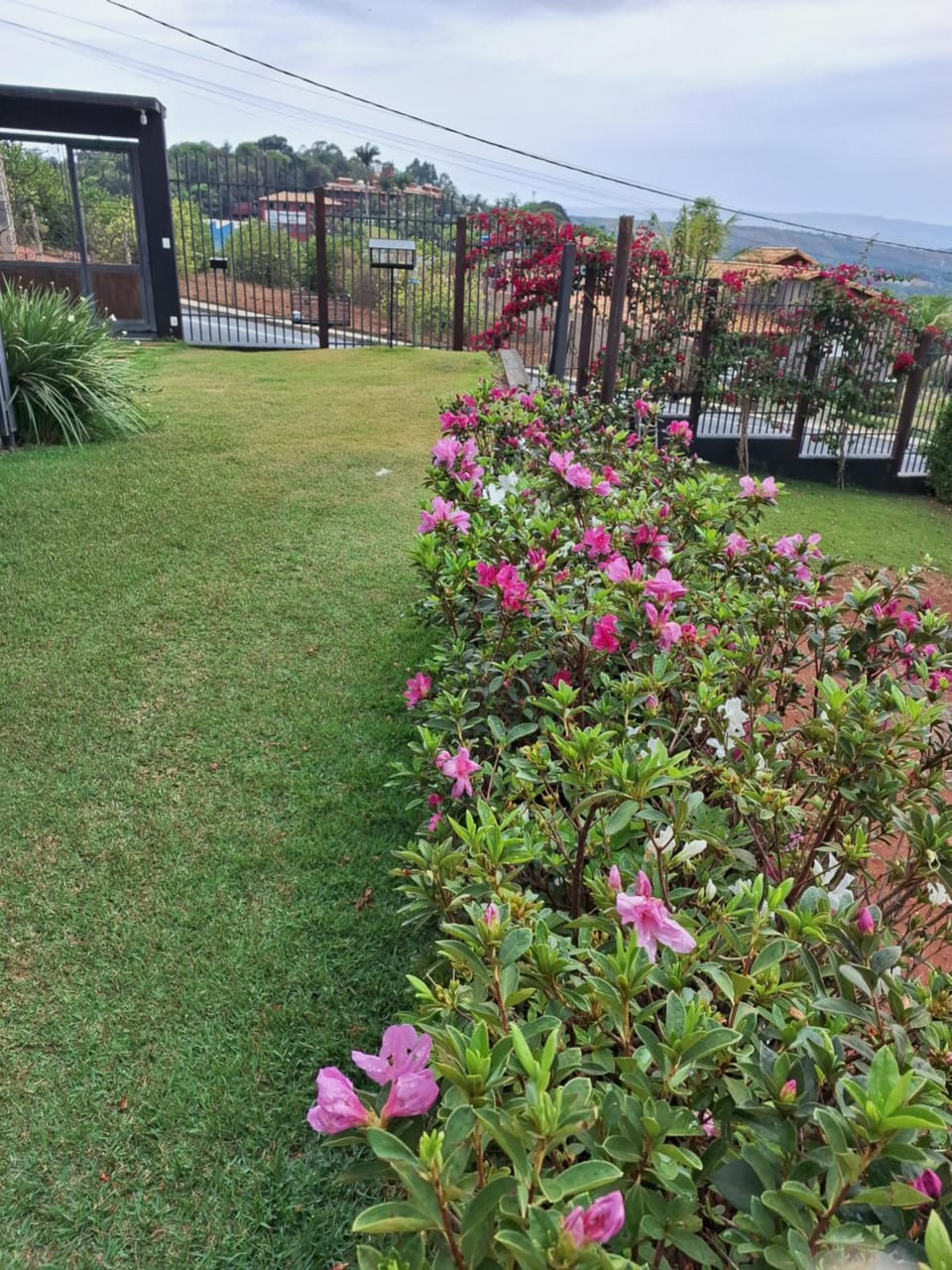 View (from property/room)