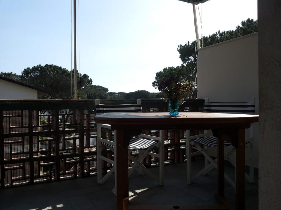 Il Cinqualino locazione turistica Apartment in Forte dei Marmi