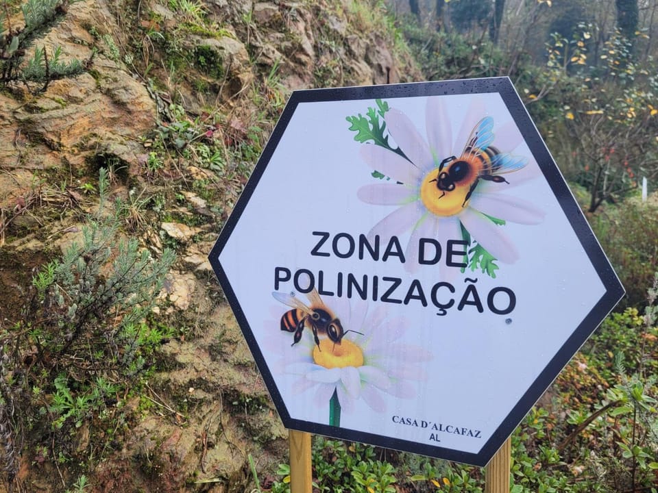 CHALÉ, Pedra, Isolada, Natureza, Rio - Ecoturismo Chalet in Aveiro District, Portugal