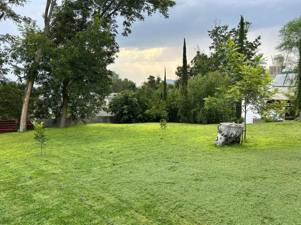 Natural landscape, Garden, Garden view