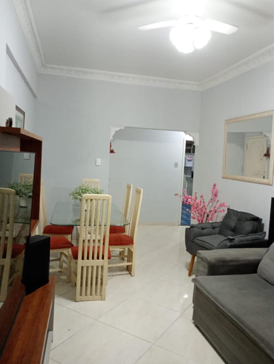 Raio de Luz Apartment in Rio de Janeiro