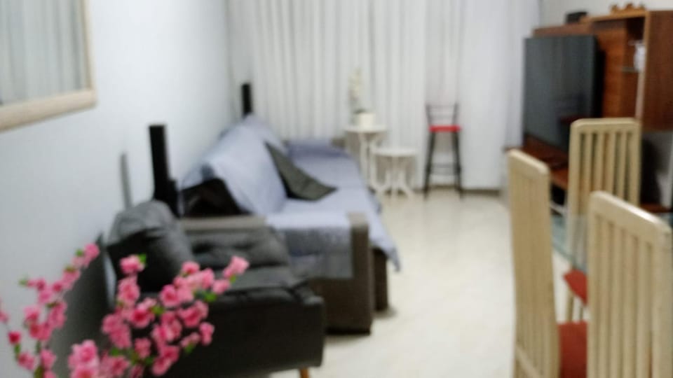 Raio de Luz Apartment in Rio de Janeiro