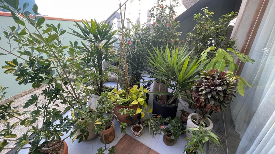 View (from property/room)