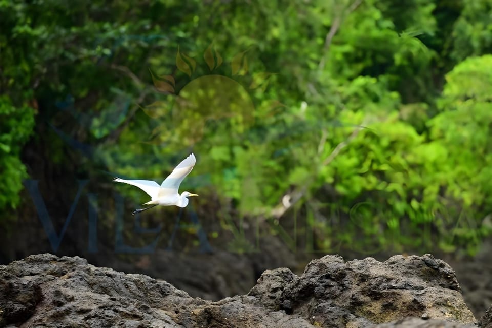 Natural landscape