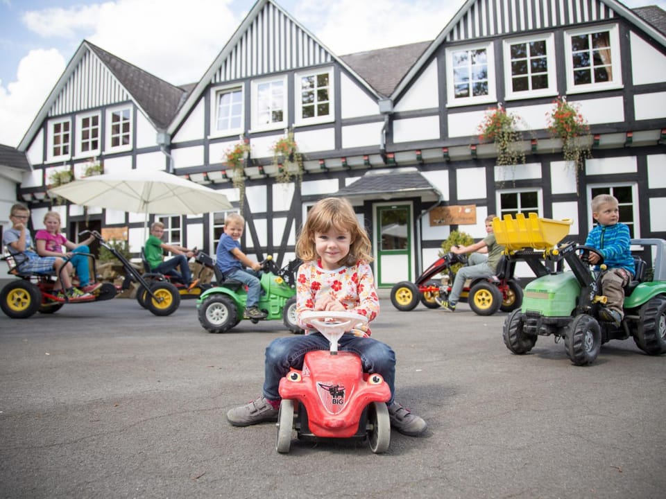 Day, Summer, Children play ground, Game Room, Horse-riding, Hiking, Cycling, Animals, On site, children, Family