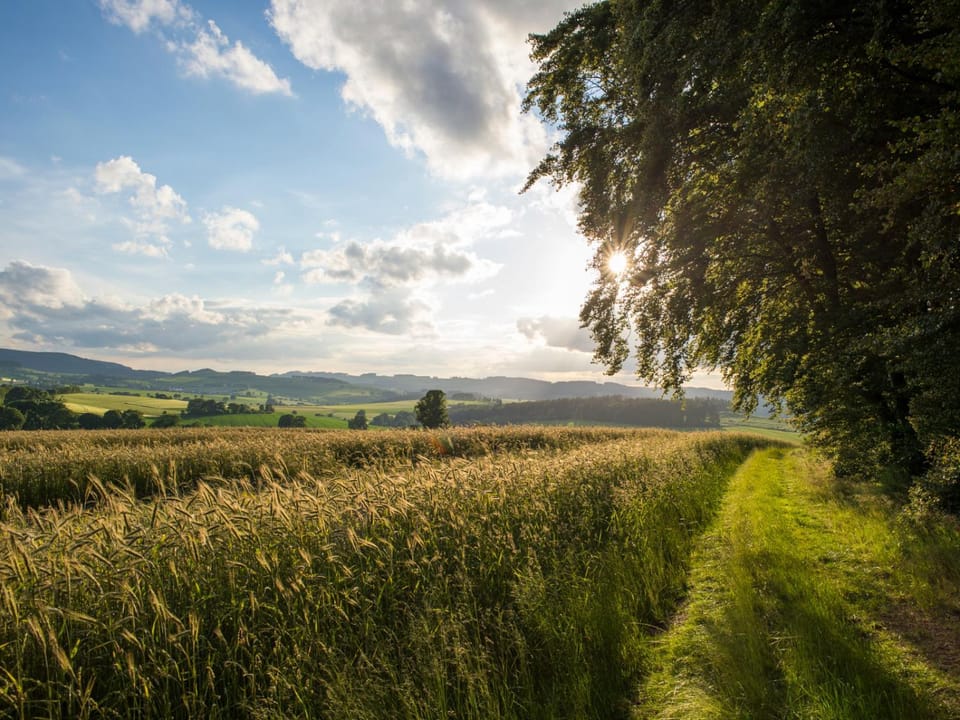 Natural landscape, Horse-riding, Hiking, Cycling