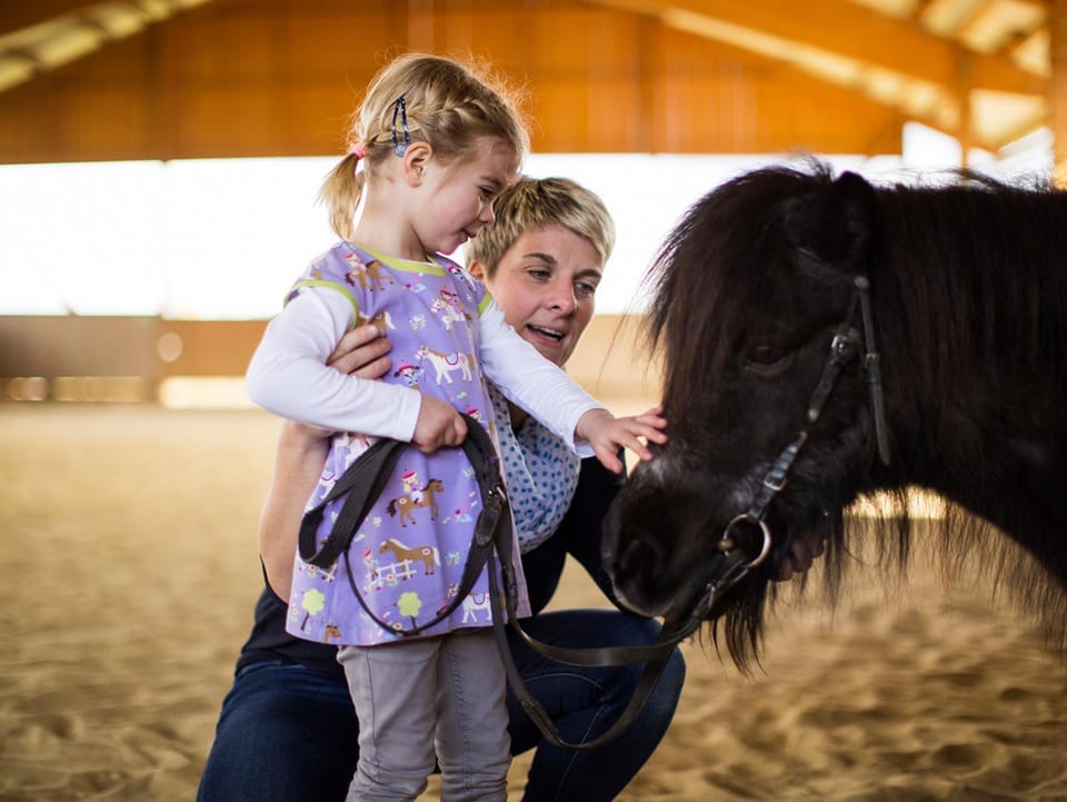 Children play ground, Horse-riding, Animals, children, Family