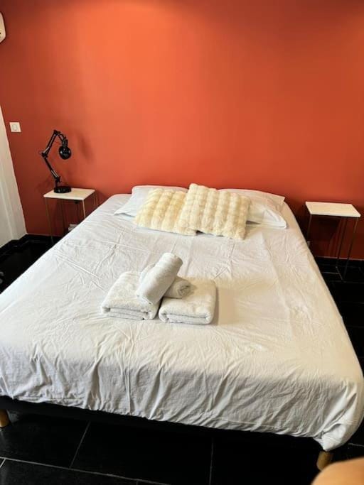 Grand Studio Centre Cannes Apartment in Cannes
