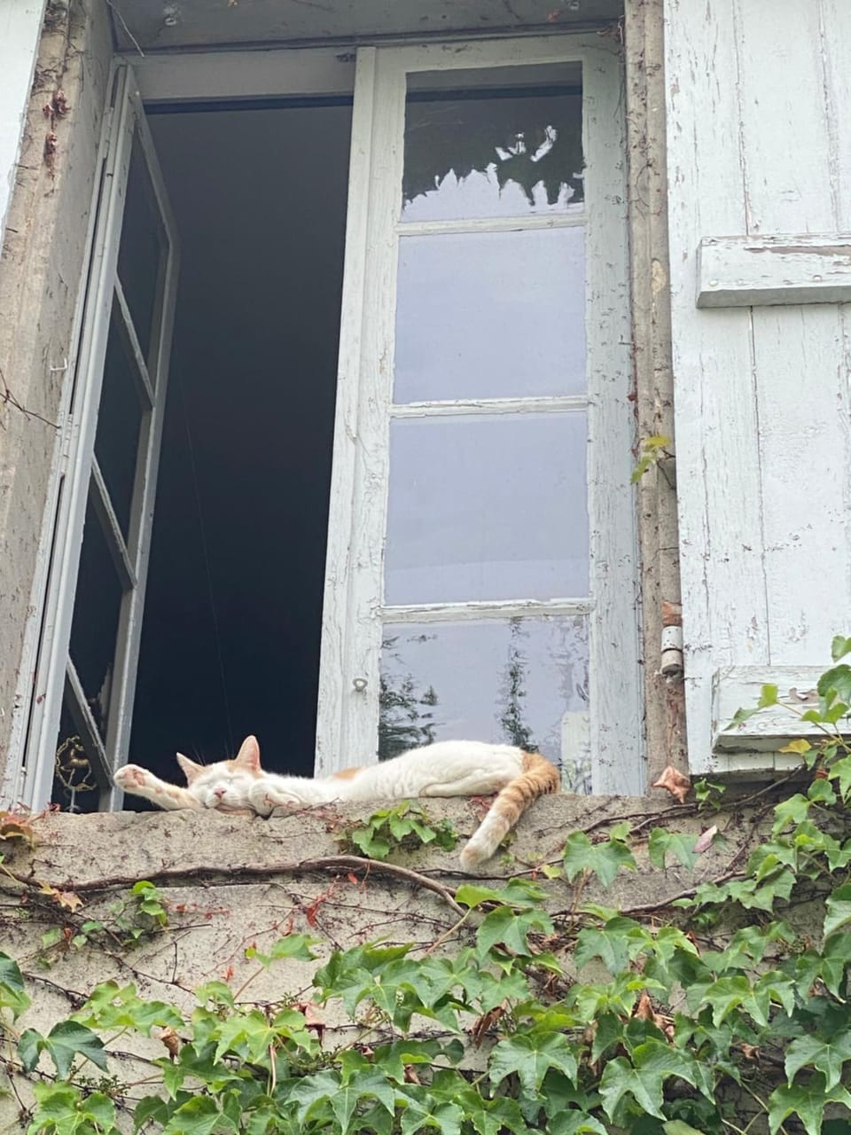 Au jardin Y Bed and Breakfast in Occitanie