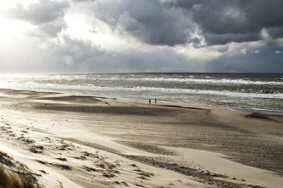 Charmerende skovhytte House in Ringkobing