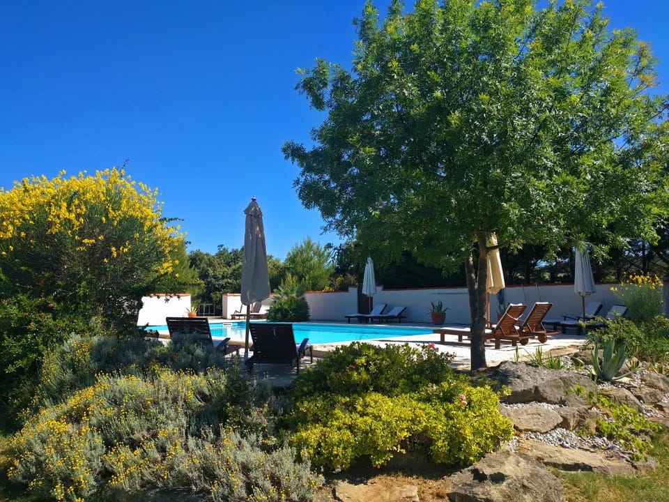 Garden, Swimming pool, Swimming pool