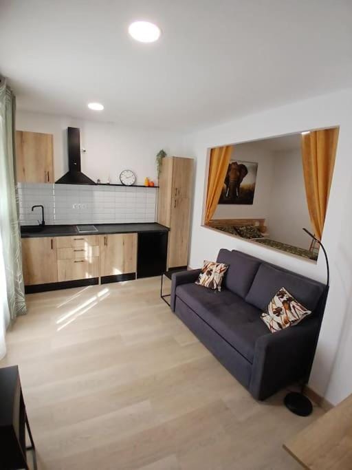 Elephant house a 10 minutos del Centro Apartment in Malaga
