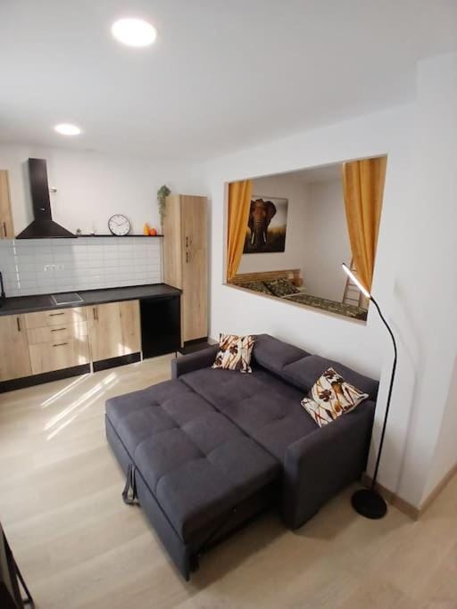 Elephant house a 10 minutos del Centro Apartment in Malaga