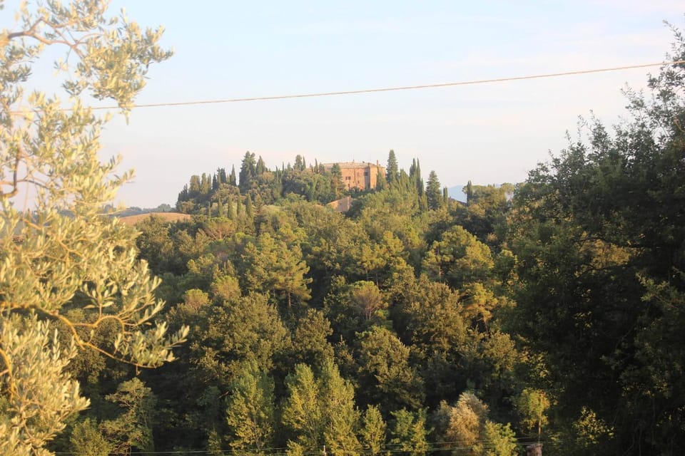 Nearby landmark, Area and facilities
