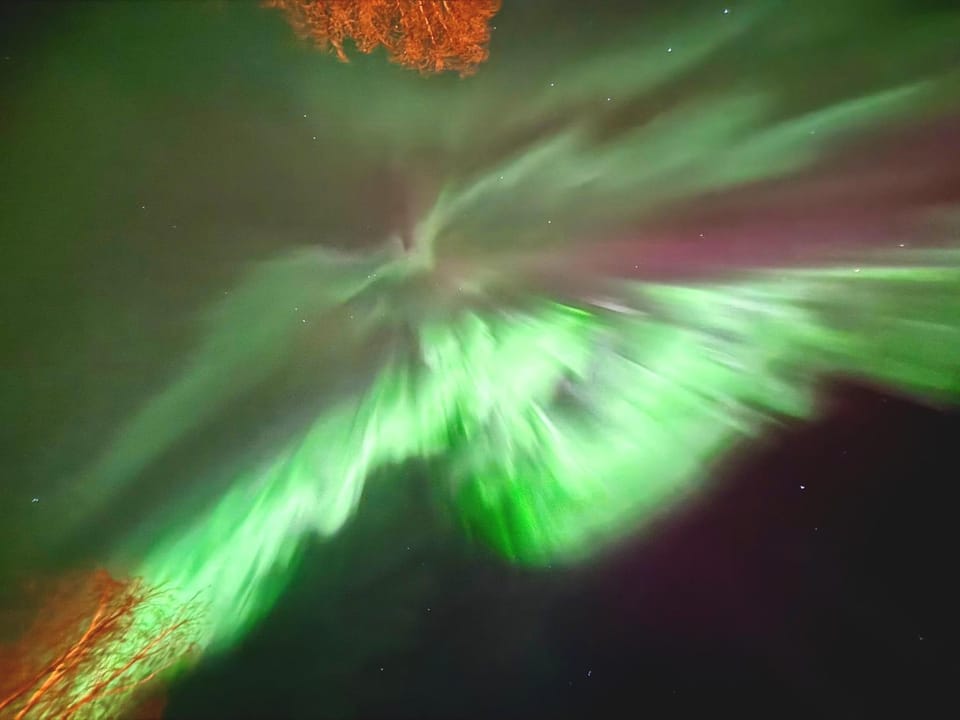 Arctic log house Hirvas Chalet in Rovaniemi