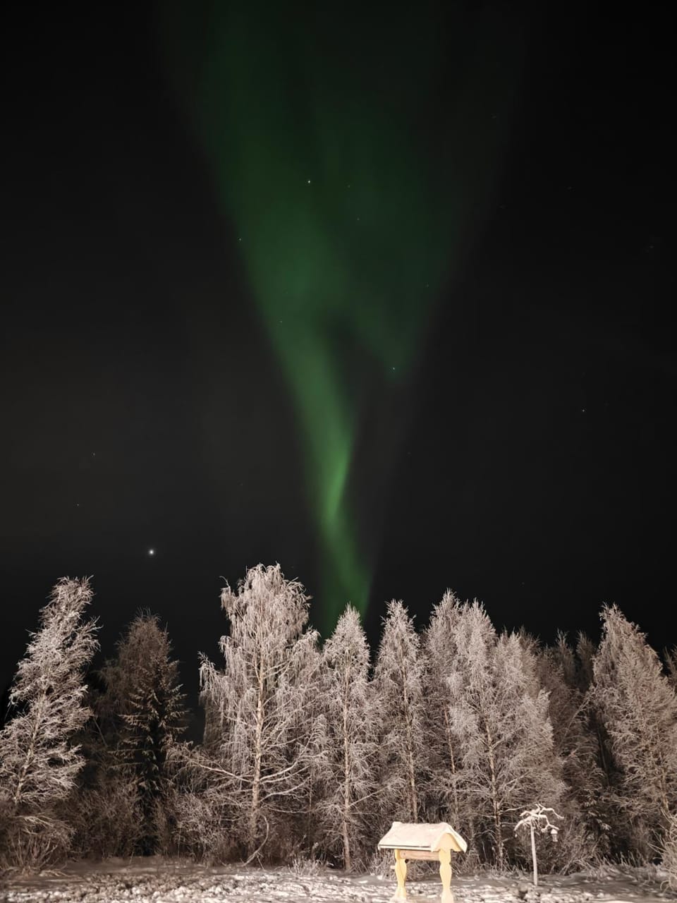 Arctic log house Hirvas Chalet in Rovaniemi