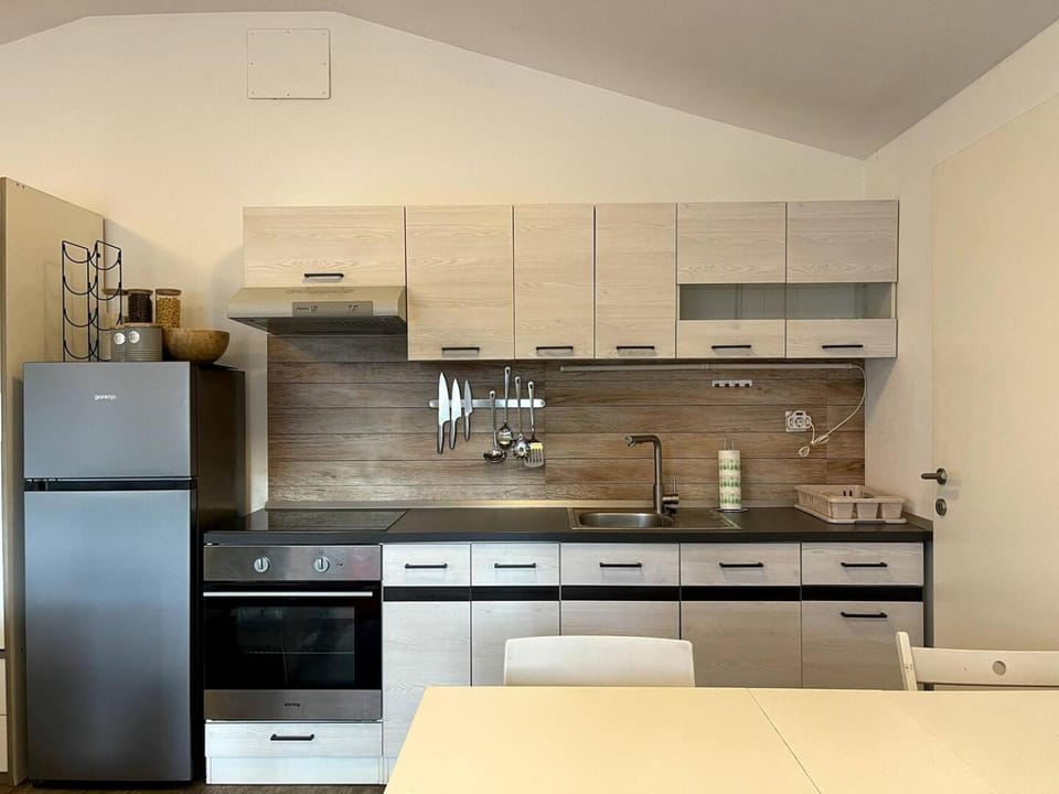 Chic Loft with Open Floor Plan Apartment in Ljubljana