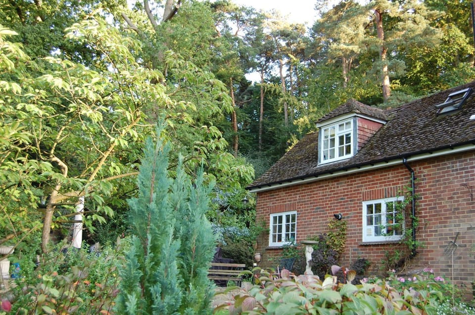 Property building, Garden view