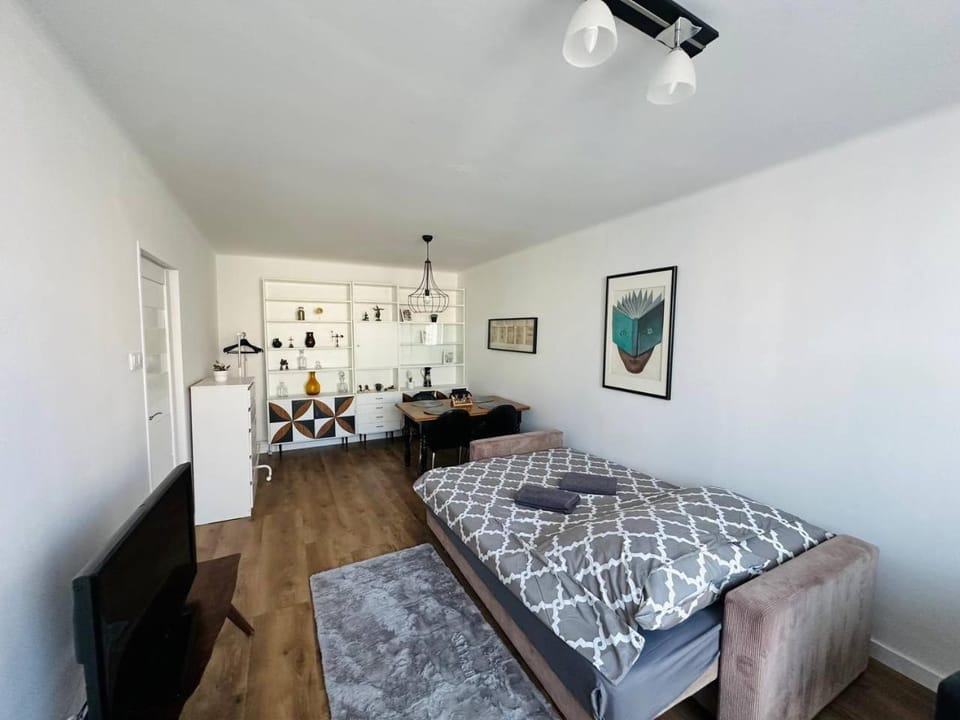 Bed, TV and multimedia, Photo of the whole room