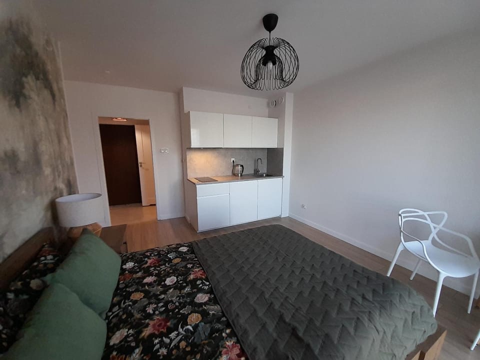 Kraków - Old Town Premium Apartment Apartment in Krakow
