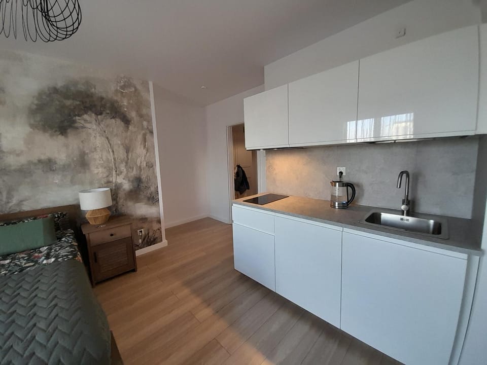 Kraków - Old Town Premium Apartment Apartment in Krakow