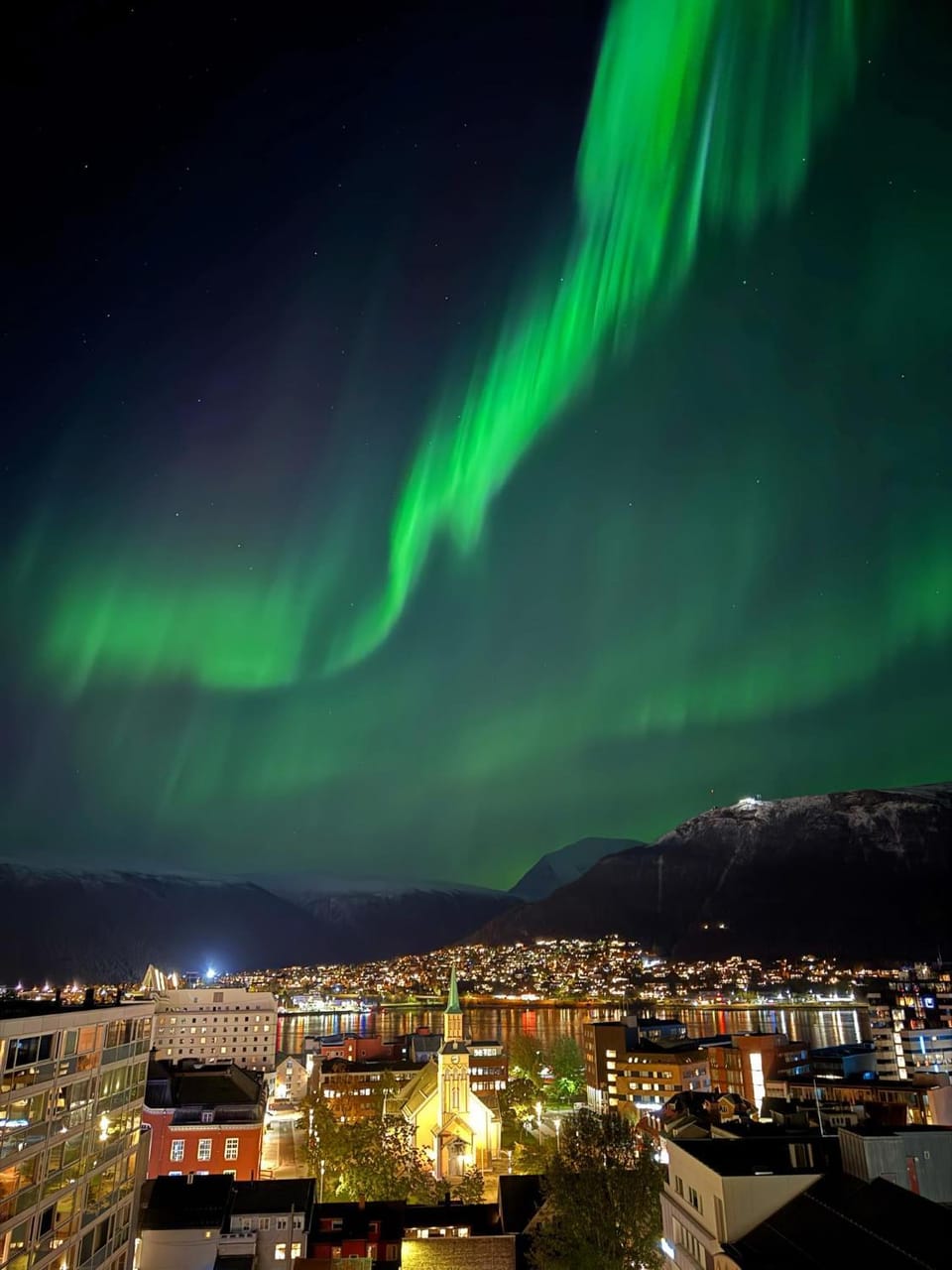4 H arctic explorer cruise with cabin Cabin in Tromso