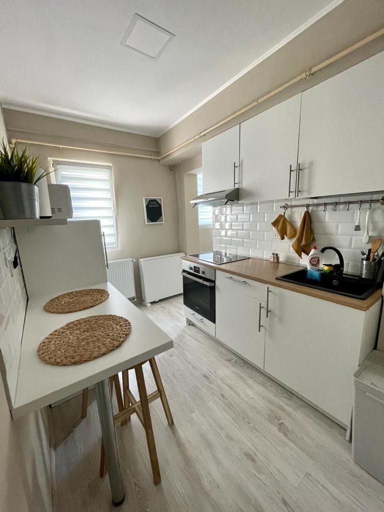 Demure Terrace Apartment Apartment in Bucharest