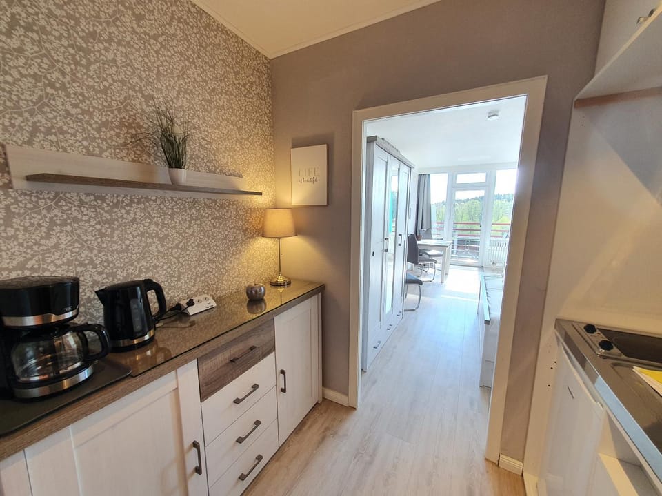 Kitchen or kitchenette, Photo of the whole room