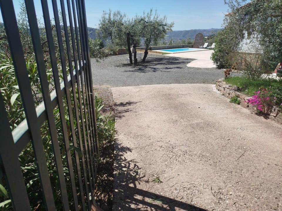 Spring, Day, Garden, Garden view