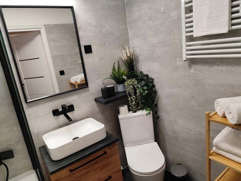 Shower, Toilet, Bathroom, towels