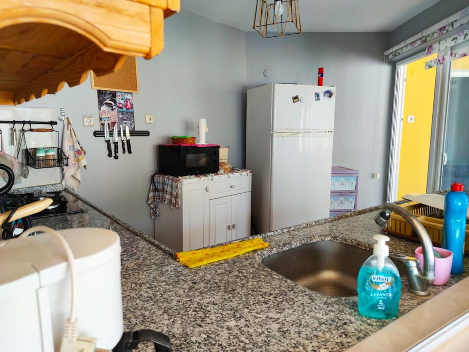Kitchen or kitchenette, dishwasher, minibar, oven, stove
