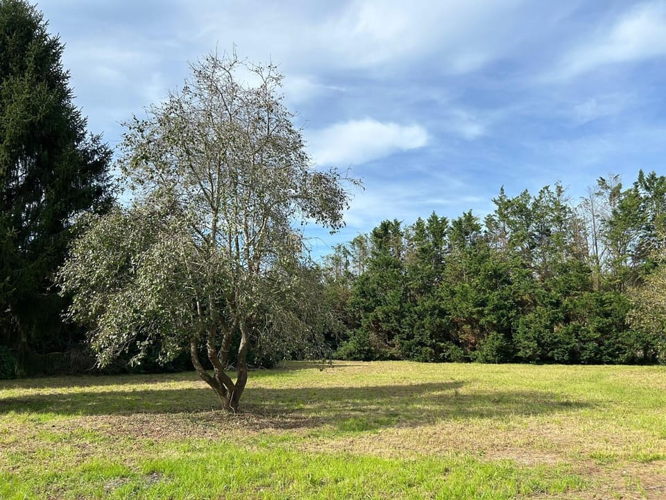 Garden, Garden view
