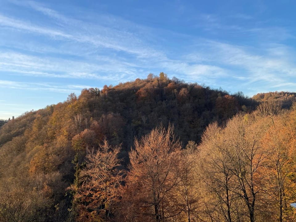 Natural landscape