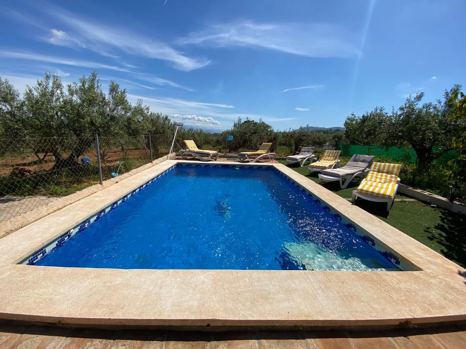 Swimming pool, sunbed