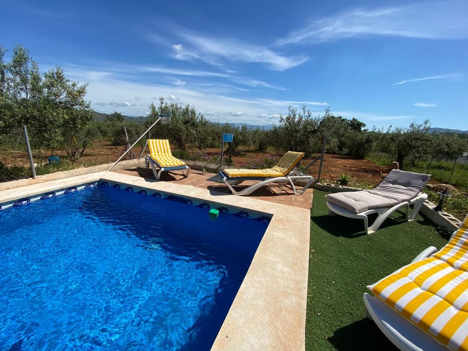 sunbed