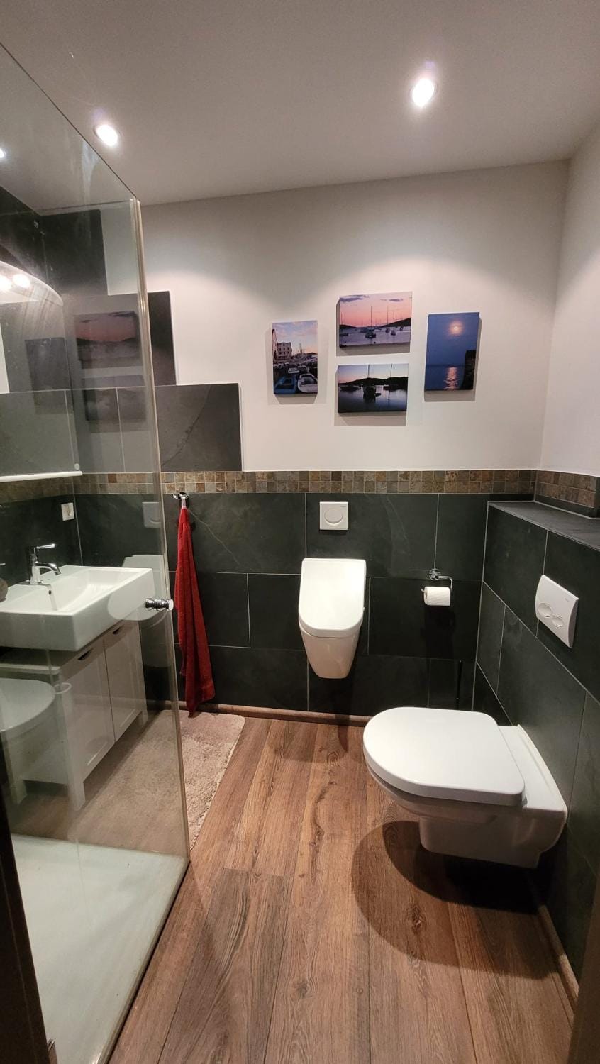 Shower, Toilet, Bathroom, hair dryier