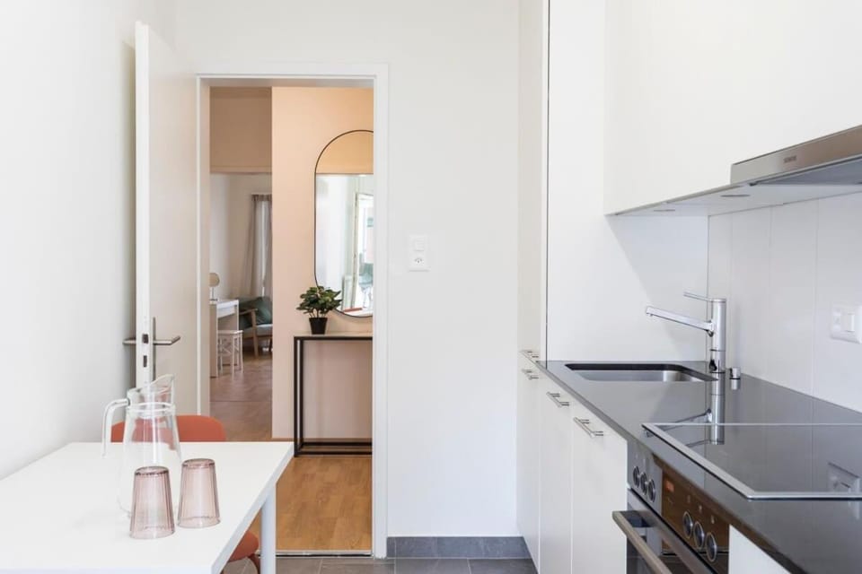 Modern appt opposite theatre, 7 min walk to Messe Apartment in Basel