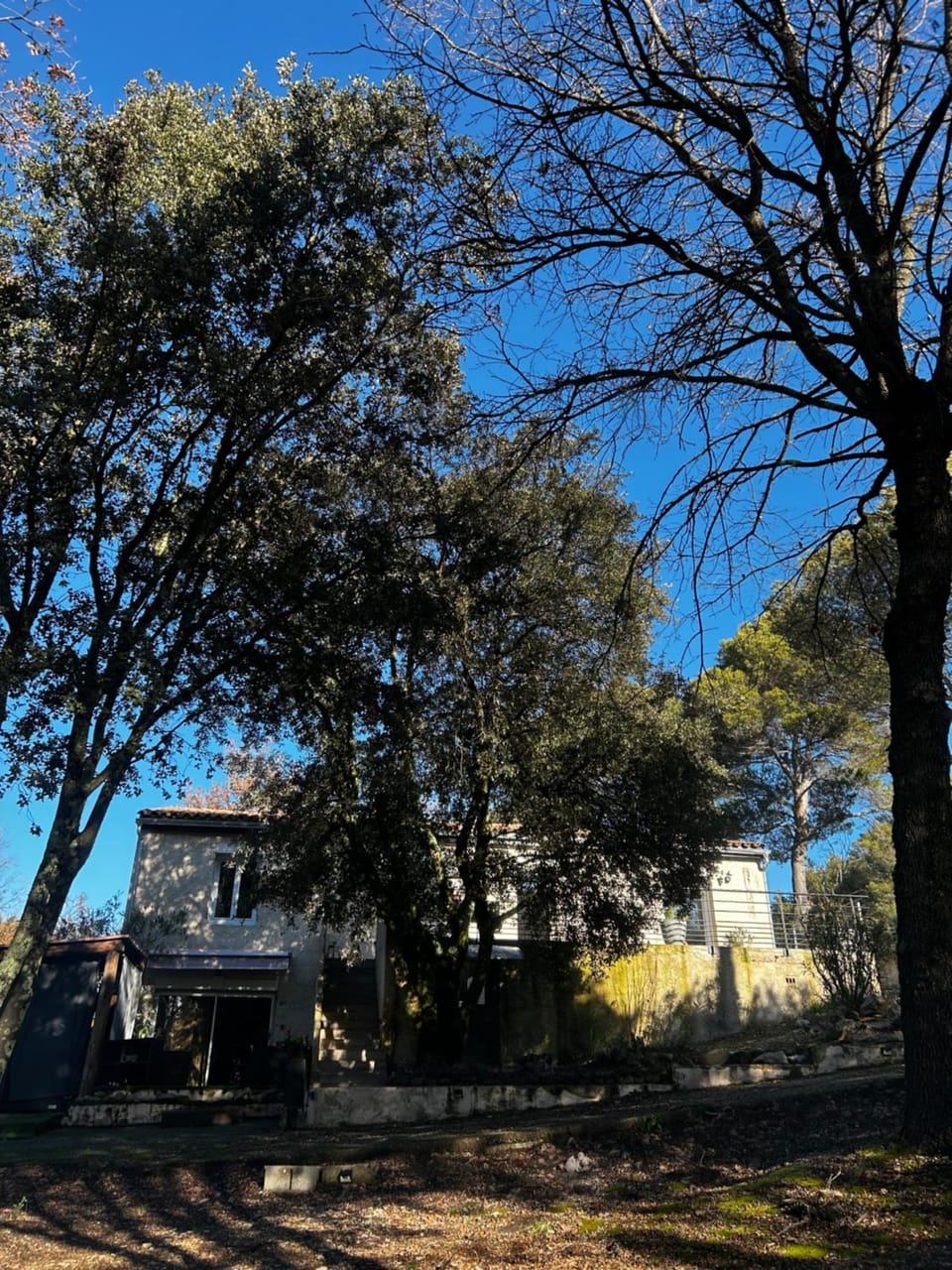 Quiet street view