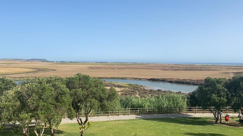 Natural landscape, River view