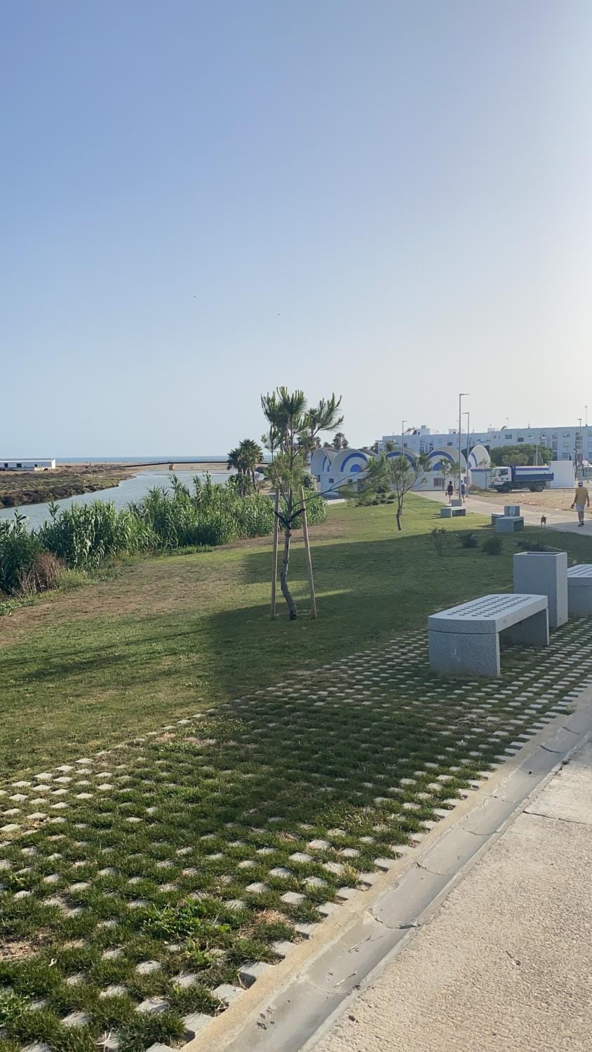 Spring, River view, Sea view