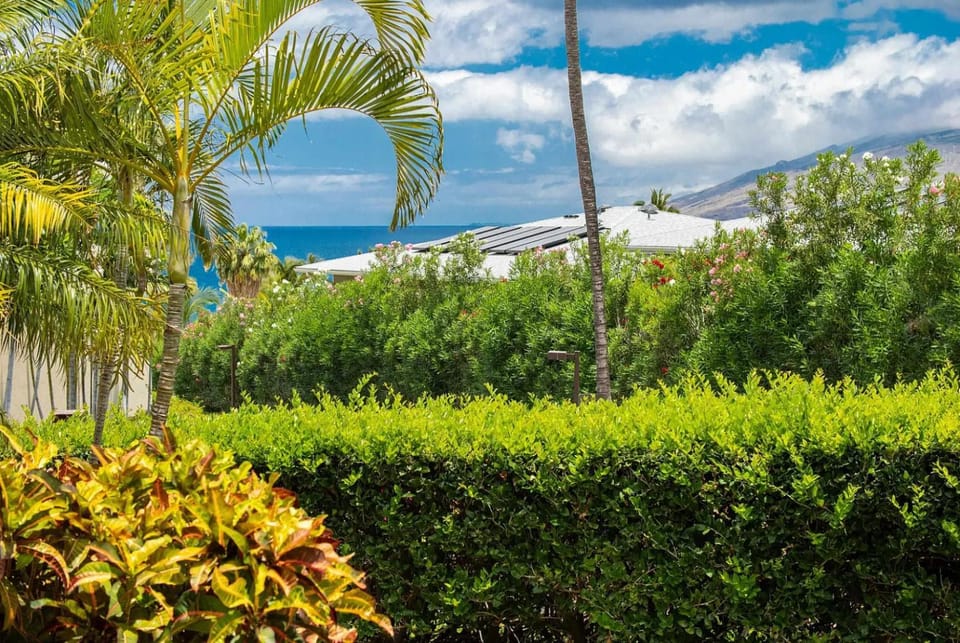 Natural landscape, Garden view, Sea view