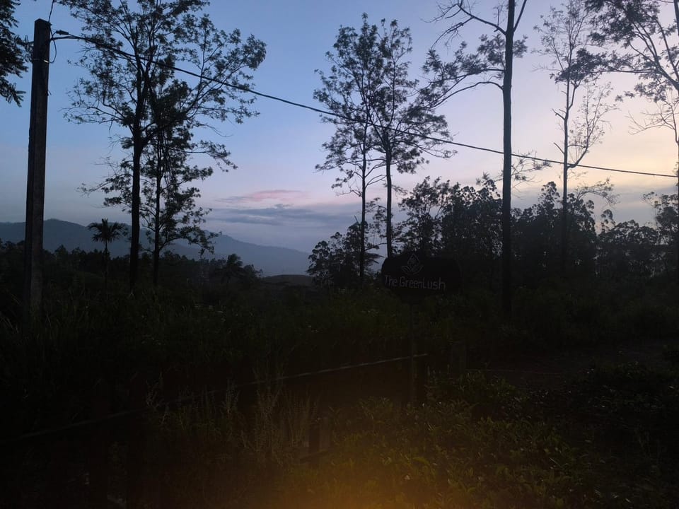View (from property/room)