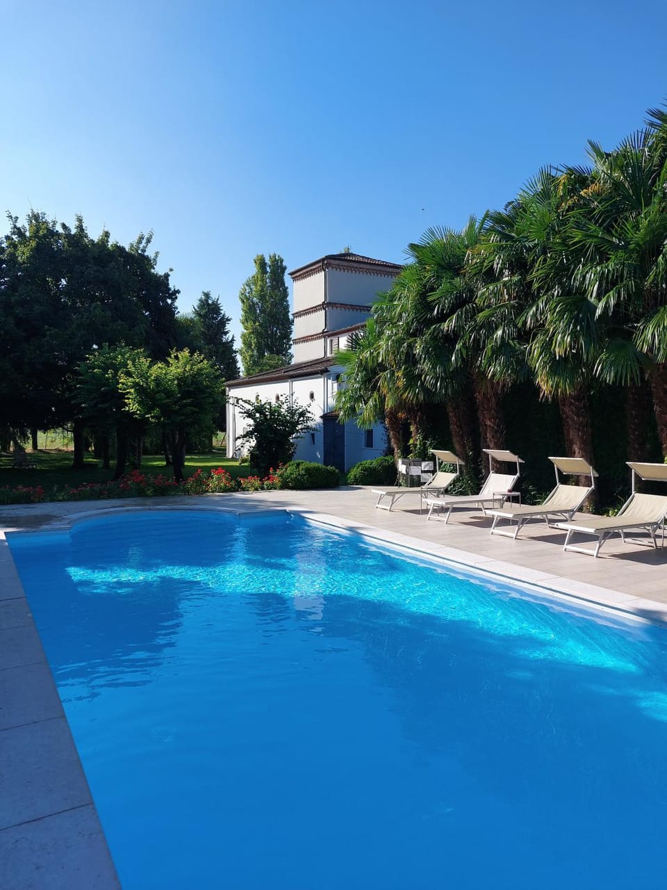 Garden, View (from property/room), Pool view, Swimming pool