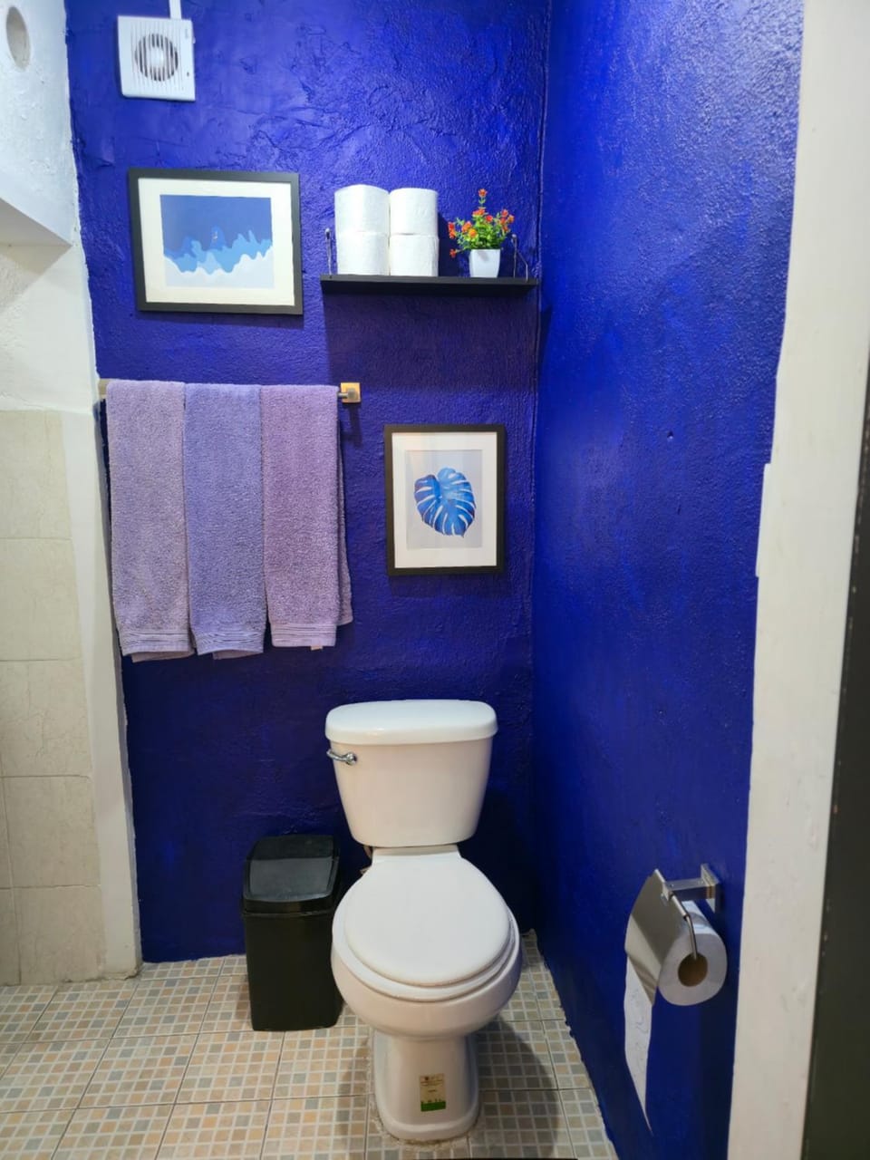 Toilet, Bathroom