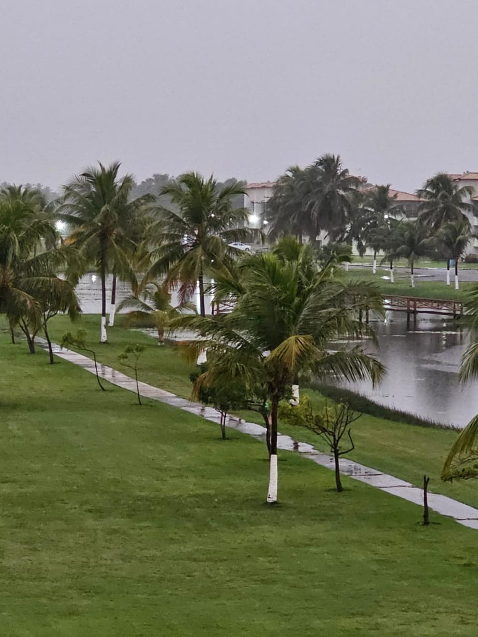 Day, Natural landscape, Garden, Lake view