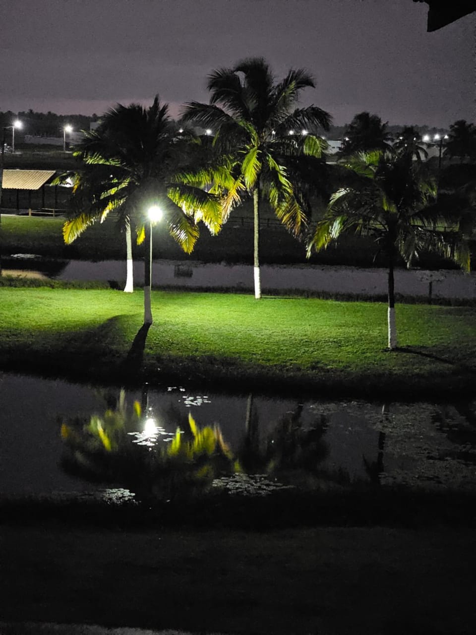 Night, Natural landscape, Garden