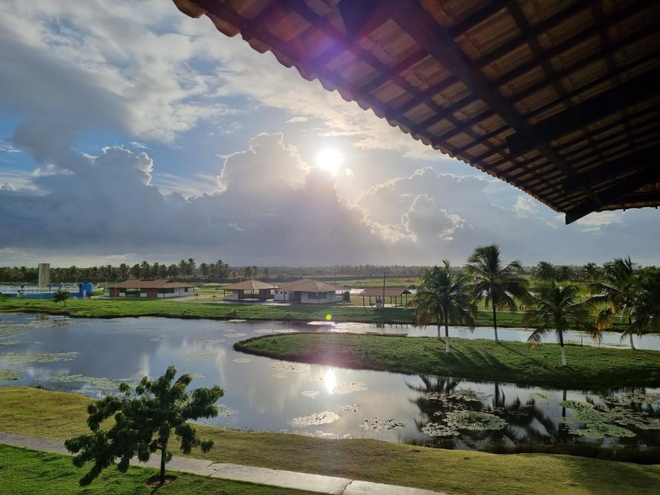 Natural landscape, Garden, Lake view, Sunrise