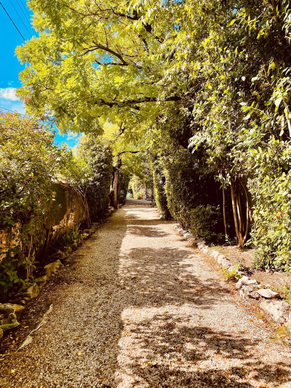 Spring, Day, Natural landscape, Garden, Garden view