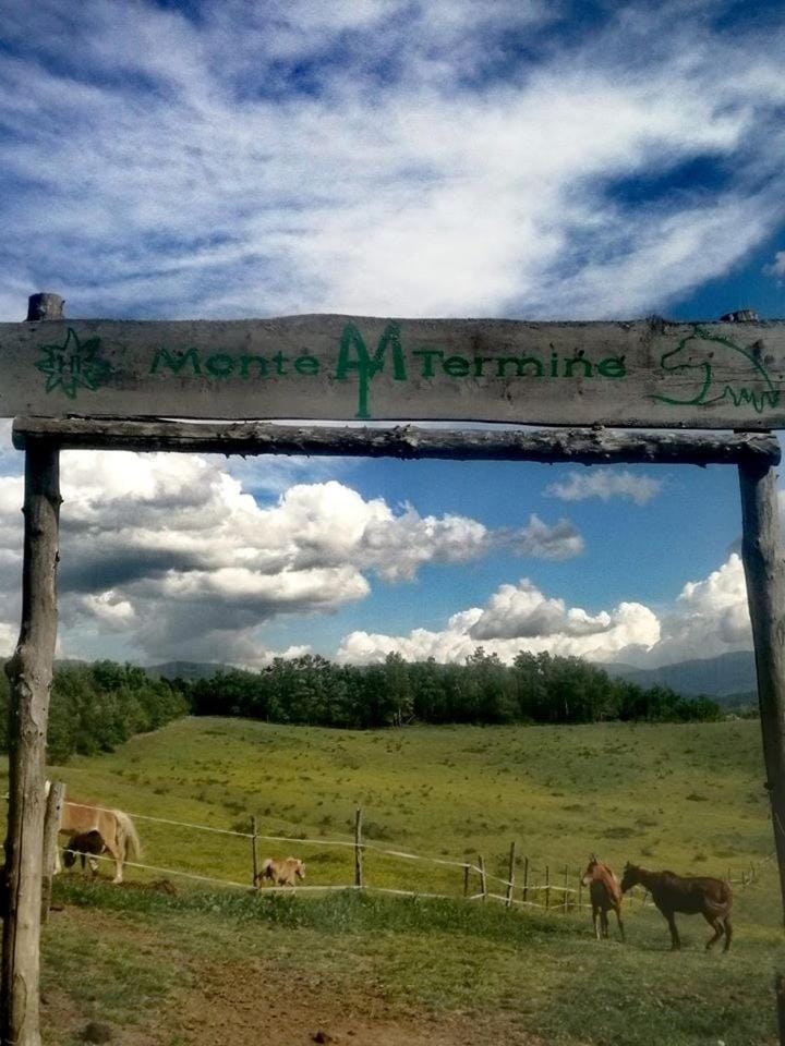 Garden, Animals