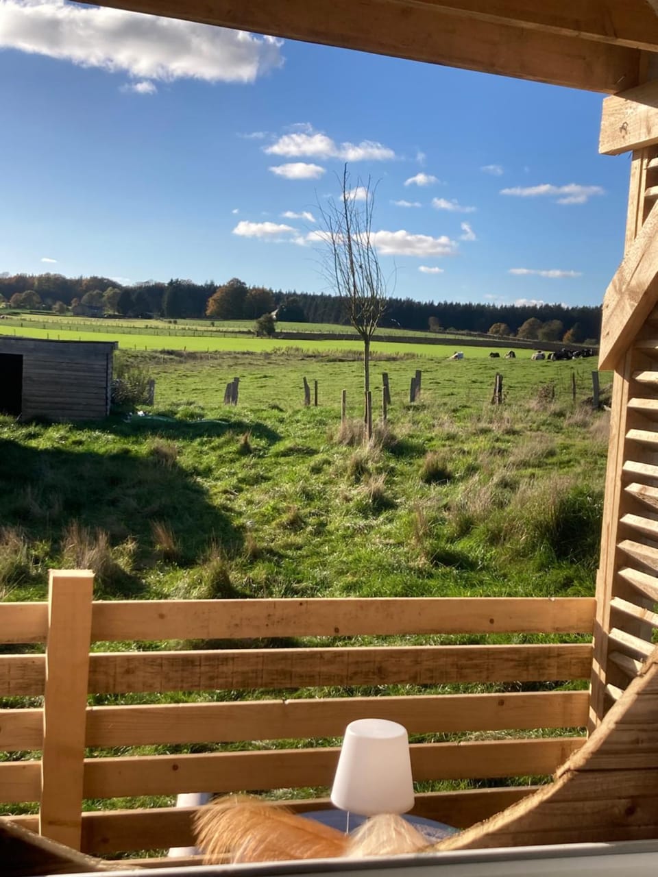 Le love van Love hotel in Wallonia, Belgium